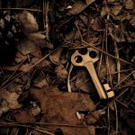 Permalink to Open Library Tags Explained—for Readers Seeking Buried Treasure An old brass key dropped on the ground in the woods.