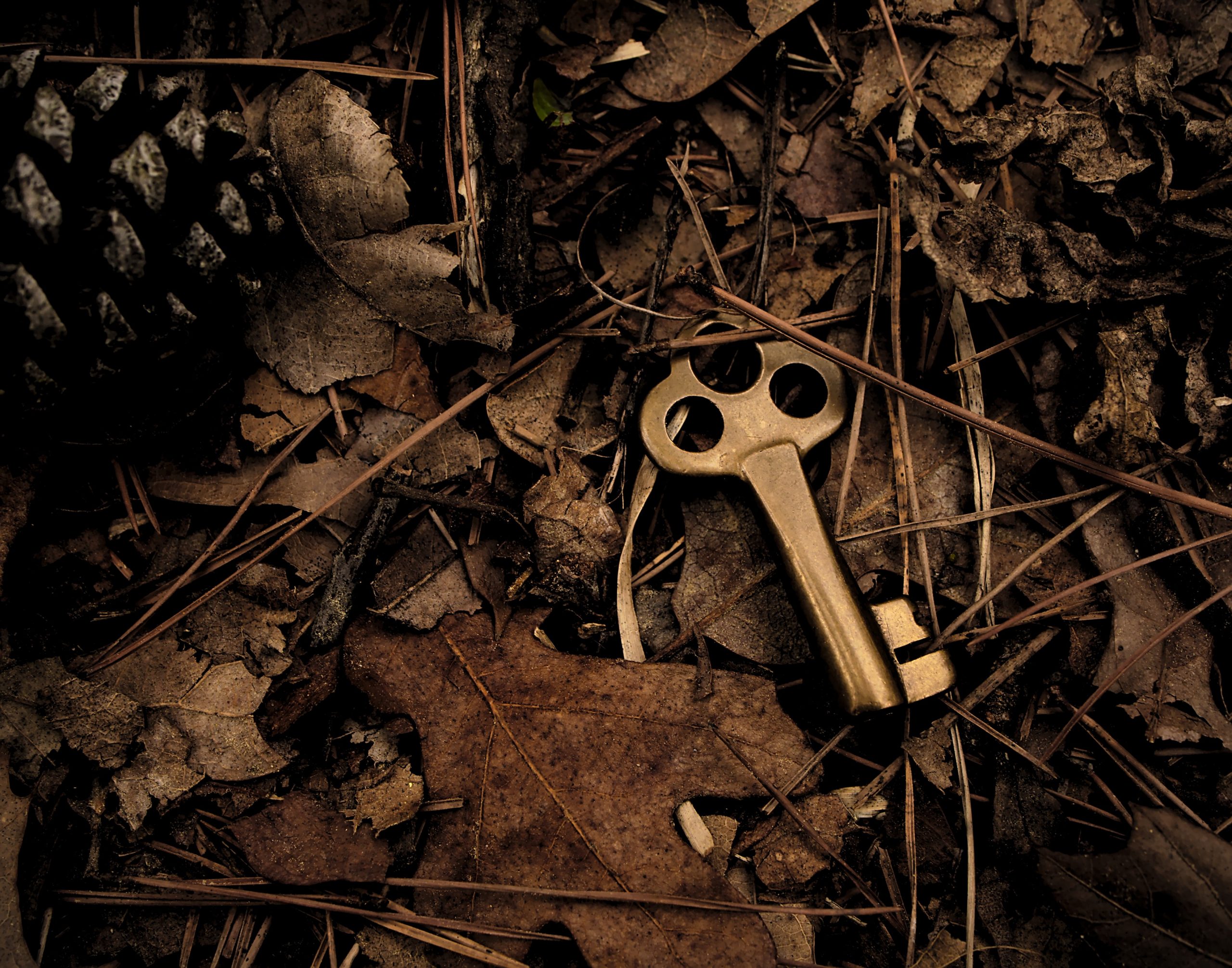 An old brass key dropped on the ground in the woods.